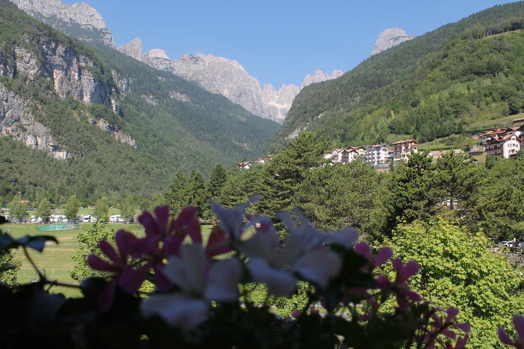 Garni Lago Alpino Мольвено Номер фото